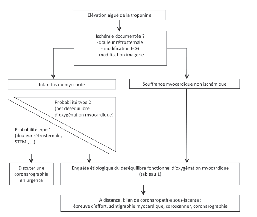 Figure 7 : Enquête diagnostique face à une situation de souffrance myocardique du sujet âgé. Figure 7: Diagnostic investigation of myocardial pain in the elderly. 
