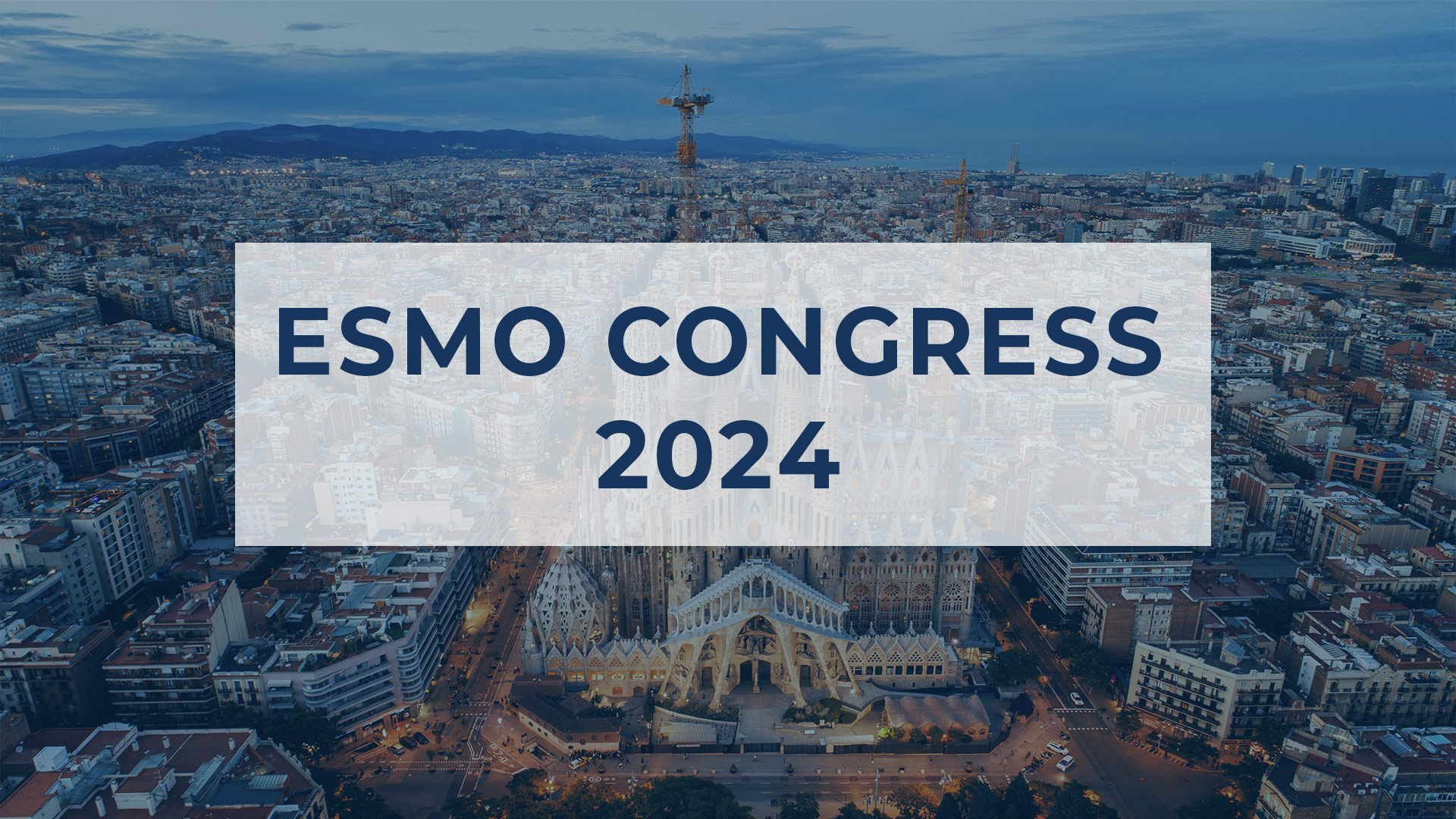 G-RDG-ESMO2024-VIGNETTE-202502261601